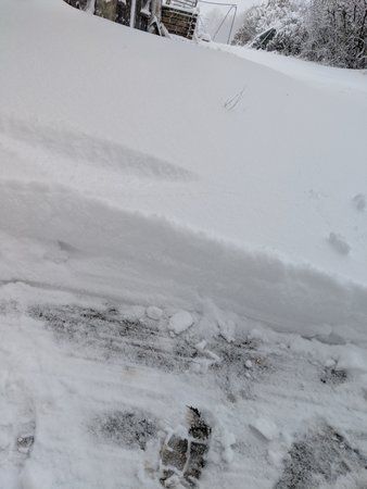 IMG_20190109_084024.jpg