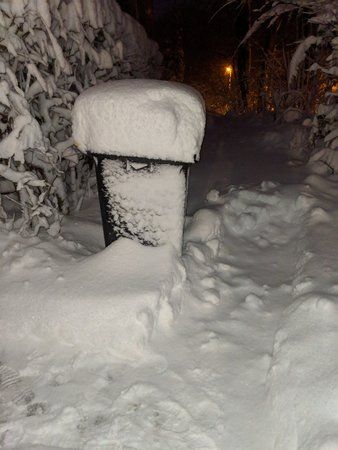 IMG_20190109_171557.jpg