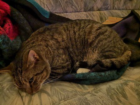 IMG_20190108_232612.jpg
