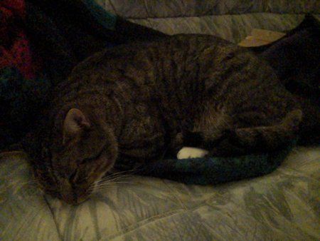 IMG_20190108_232545.jpg