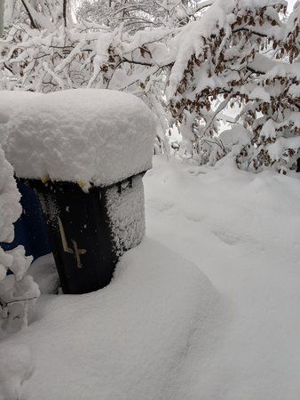 IMG_20190110_094012.jpg