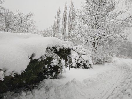 IMG_20190110_111214.jpg