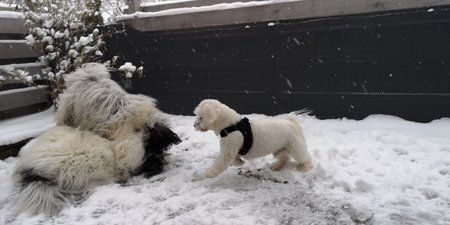 IMG_20190111_161453_011.jpg