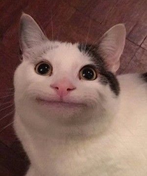 Ommmmmm.jpg