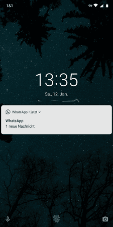 Screenshot_20190112-133549.png