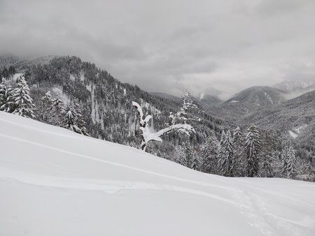 IMG_20190112_104126.jpg