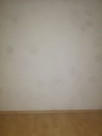 IMG_20190115_161815.jpg