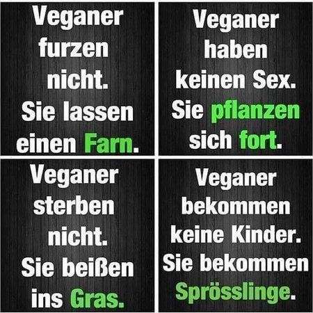 FB_IMG_1547700446678.jpg