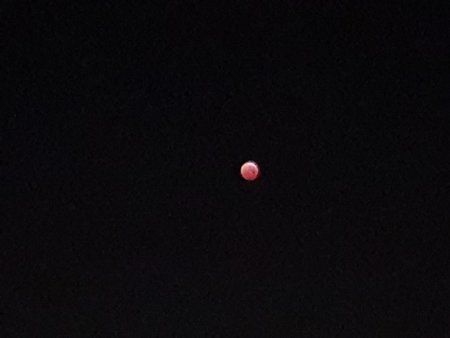 20190121_063240.jpg