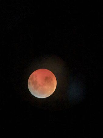 IMG_20190121_062123.jpg