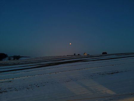 IMG_20190121_064402.jpg
