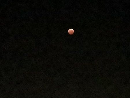 IMG_20190121_062833.jpg