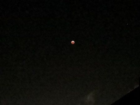 IMG_20190121_062823.jpg