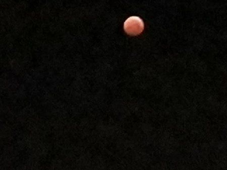 IMG_20190121_062844.jpg