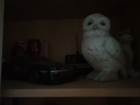 20190122_165144.jpg