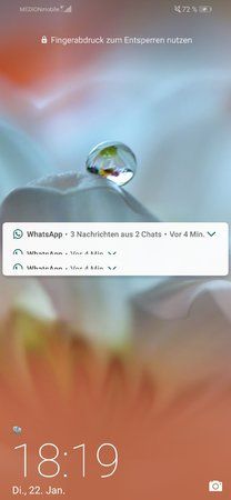 Screenshot_20190122-181921.jpg