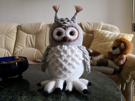 IMG_20190115_111021.jpg
