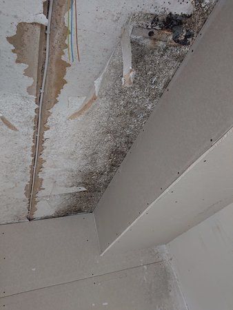 IMG-20190123-WA0003.jpg
