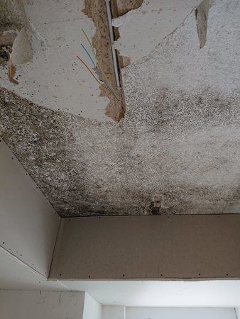 IMG-20190123-WA0000.jpg