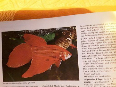 20190123_183519.jpg