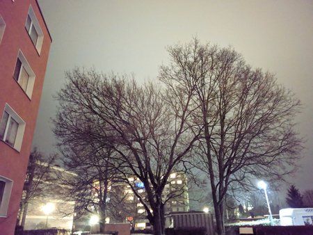 IMG_20190123_201016.jpg