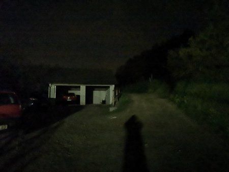 photo mode 41145624075.jpg