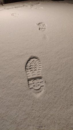 IMG_20190125_200338.jpg