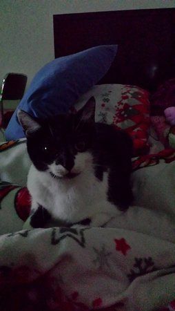 20171124_234556.jpg