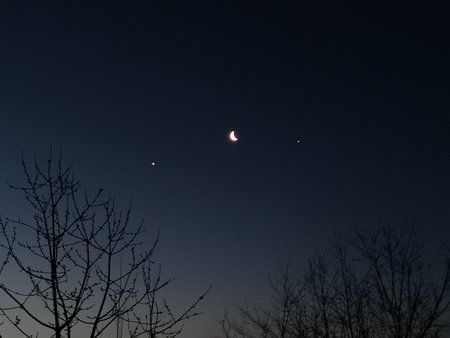 IMG_20190131_065753.jpg
