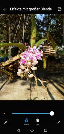 Screenshot_20190201_105020_com.android.gallery3d.jpeg
