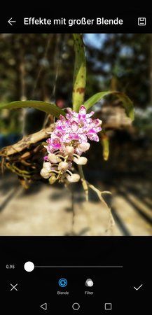 Screenshot_20190201_105042_com.android.gallery3d.jpeg