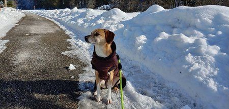 20190206_121540_HDR.jpg