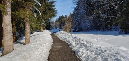20190206_121639_HDR.jpg
