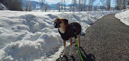 20190206_121724_HDR.jpg