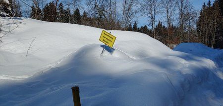 20190206_121934_HDR.jpg