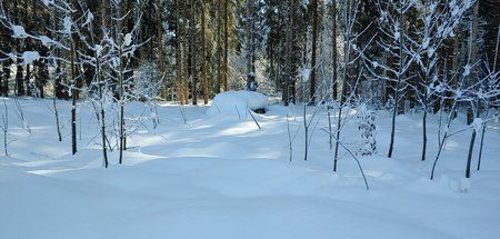 20190206_122333(1).jpg