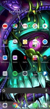 Screenshot_20190209_131119_com.teslacoilsw.launcher.jpg