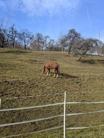 IMG_20190210_111512.jpg