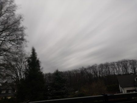 IMG_20190210_112626.jpg