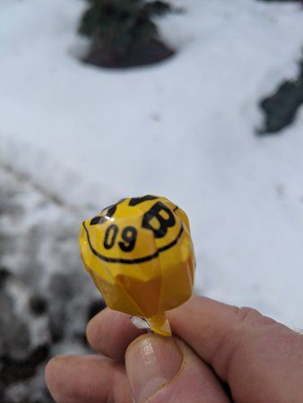IMG_20190210_120532.jpg