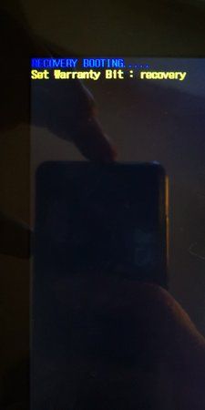 IMG_20190212_154921.jpg