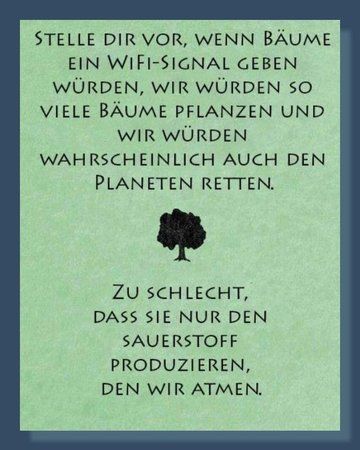 Weisheit-des-Tages.jpg