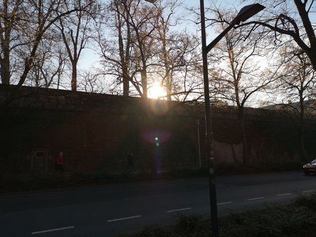 IMG_20190214_155221_1.jpg
