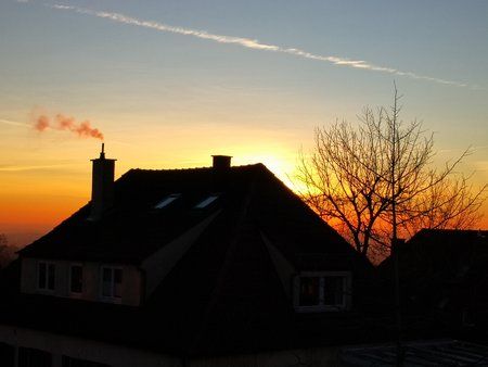 IMG_20190215_073529.jpg