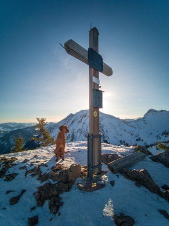 LRM_20190215_082825-hdr.jpg