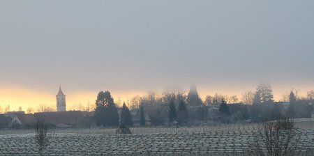 IMG_20190215_075715.jpg