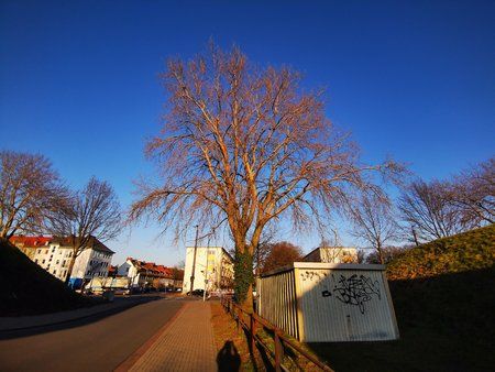 IMG_20190218_161652.jpg