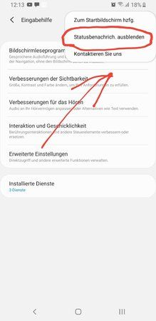 Screenshot_20190220-121343_Accessibility.jpg