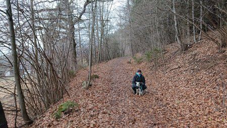 DSC_1809 1.JPG