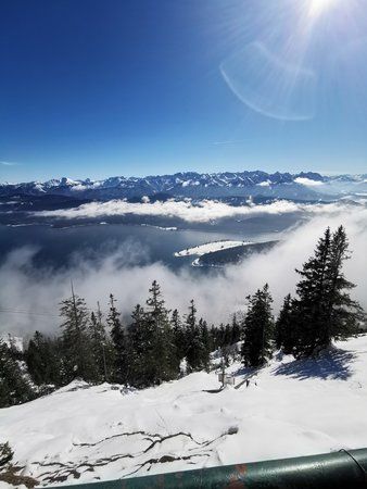 IMG_20190223_124433.jpg
